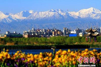 甘肃戈壁湿地之城初夏景色美