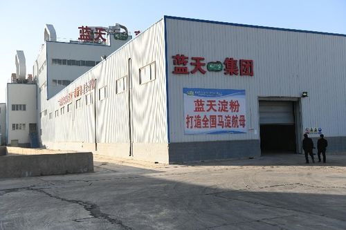 科技助农增收,马铃薯从这里走向全国